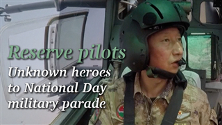 Reserve pilots: Unknown heroes of National Day military parade
