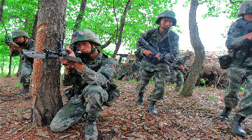 Artillery brigade conducts live-fire training