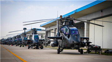 Helicopters receive phase maintenance