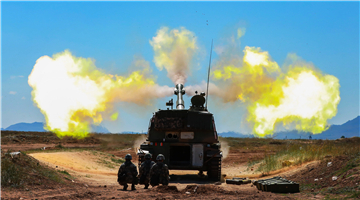 Self-propelled howitzer system in round-the-clock training