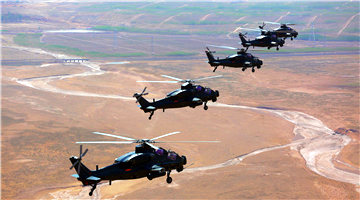 WZ-10 attack helicopters fly through valley