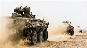 Wheeled armored vehicles drive in Gobi desert