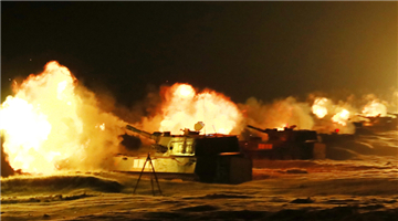 Self-propelled howitzers in night live-fire training
