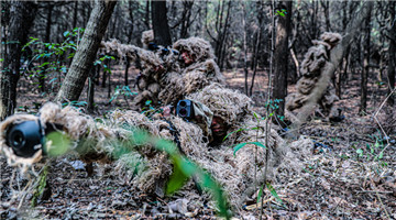 Scouts engage mock targets in ghillie suits
