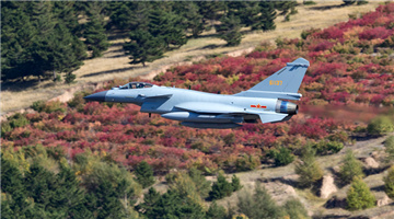 J-10 fighter jet flies over paddy field