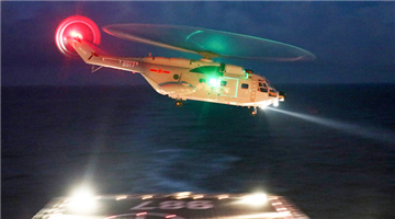 Ship-borne helicopter coordinates with dock landing ship