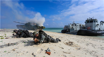 Naval group, army brigade coordinate in combined combat training