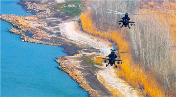 Attack helicopters fly over river bank