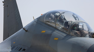 Fighter jet in flight training exercise