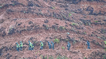 Rescuers search for other black box around plane crash site